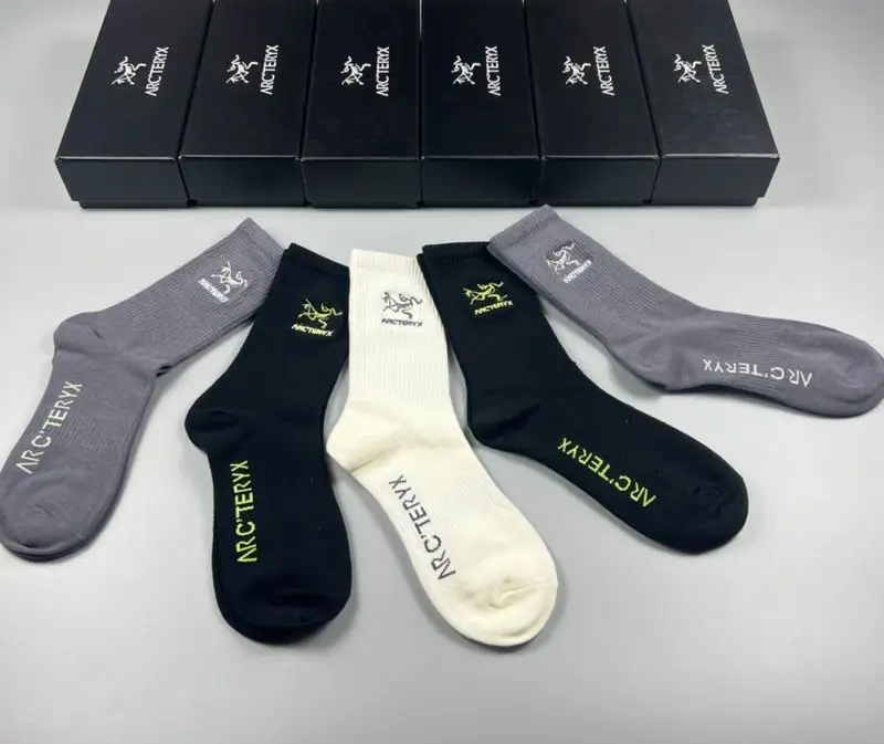 Arcteryx socks 042004